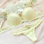 चड्डी और ब्रा Ladies Sexy Net Bra Panty Set Images for wife and Bhabhi