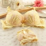 चड्डी और ब्रा Ladies Sexy Net Bra Panty Set Images for wife and Bhabhi