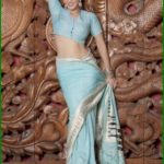 Sunny Leone takes off her saree bra and panties and showing sexy boobs and ass Bollywood actress Sunny Leone nude 7