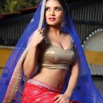 Sexy Indian girl in Blouse showing Big Boobs and Cleavage desi boobs pics hot boobs images Hot Indian Girls photos (14)