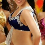Sexy Indian girl in Blouse showing Big Boobs and Cleavage desi boobs pics hot boobs images Hot Indian Girls photos (20)