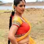 Sexy Indian girl in Blouse showing Big Boobs and Cleavage desi boobs pics hot boobs images Hot Indian Girls photos (27)