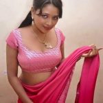 Sexy Indian girl in Blouse showing Big Boobs and Cleavage desi boobs pics hot boobs images Hot Indian Girls photos (28)