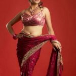 Sexy Indian girl in Blouse showing Big Boobs and Cleavage desi boobs pics hot boobs images Hot Indian Girls photos (3)