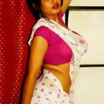 Sexy Indian girl in Blouse showing Big Boobs and Cleavage desi boobs pics hot boobs images Hot Indian Girls photos (30)
