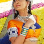 Sexy Indian girl in Blouse showing Big Boobs and Cleavage desi boobs pics hot boobs images Hot Indian Girls photos (36)