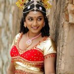 Sexy Indian girl in Blouse showing Big Boobs and Cleavage desi boobs pics hot boobs images Hot Indian Girls photos (57)