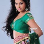 Sexy Indian girl in Blouse showing Big Boobs and Cleavage desi boobs pics hot boobs images Hot Indian Girls photos (1)