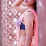 Sexy Indian girl in Blouse showing Big Boobs and Cleavage desi boobs pics hot boobs images Hot Indian Girls photos (13)