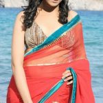 Sexy Indian girl in Blouse showing Big Boobs and Cleavage desi boobs pics hot boobs images Hot Indian Girls photos (17)
