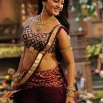 Sexy Indian girl in Blouse showing Big Boobs and Cleavage desi boobs pics hot boobs images Hot Indian Girls photos (4)