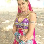 Sexy Indian girl in Blouse showing Big Boobs and Cleavage desi boobs pics hot boobs images Hot Indian Girls photos (40)