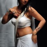 Sexy Indian girl in Blouse showing Big Boobs and Cleavage desi boobs pics hot boobs images Hot Indian Girls photos (41)