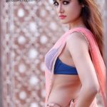 Sexy Indian girl in Blouse showing Big Boobs and Cleavage desi boobs pics hot boobs images Hot Indian Girls photos (44)