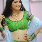 Sexy Indian girl in Blouse showing Big Boobs and Cleavage desi boobs pics hot boobs images Hot Indian Girls photos (56)