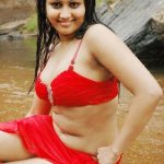 Desi aunty removes dress and exposing big boobs Full HD Porn XXX Images free nude photo (6)