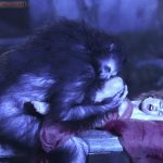 बुरी आत्माओं ने मेरे साथ बलात्कार किया आत्माओं ने करा रेप Ghost fucking girl full hd nude porn (6)