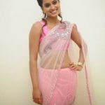 Sexy Indian girl in transparent net saree blouse showing big boobs backless show Full HD Nude photo (1)