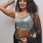 Sexy Indian girl in transparent net saree blouse showing big boobs backless show Full HD Nude photo (12)