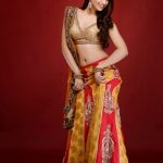 Sexy Indian girl in transparent net saree blouse showing big boobs backless show Full HD Nude photo (2)