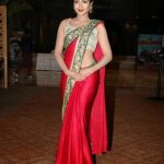 Sexy Indian girl in transparent net saree blouse showing big boobs backless show Full HD Nude photo (3)