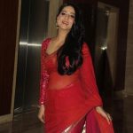 Sexy Indian girl in transparent net saree blouse showing big boobs backless show Full HD Nude photo (6)