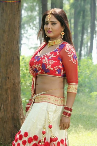 Bhojpuri Film Actress Anjana Singh Hot And Sexy Photos अंजना सिंह की गरम फोटो अश्लील तस्वीरें 1